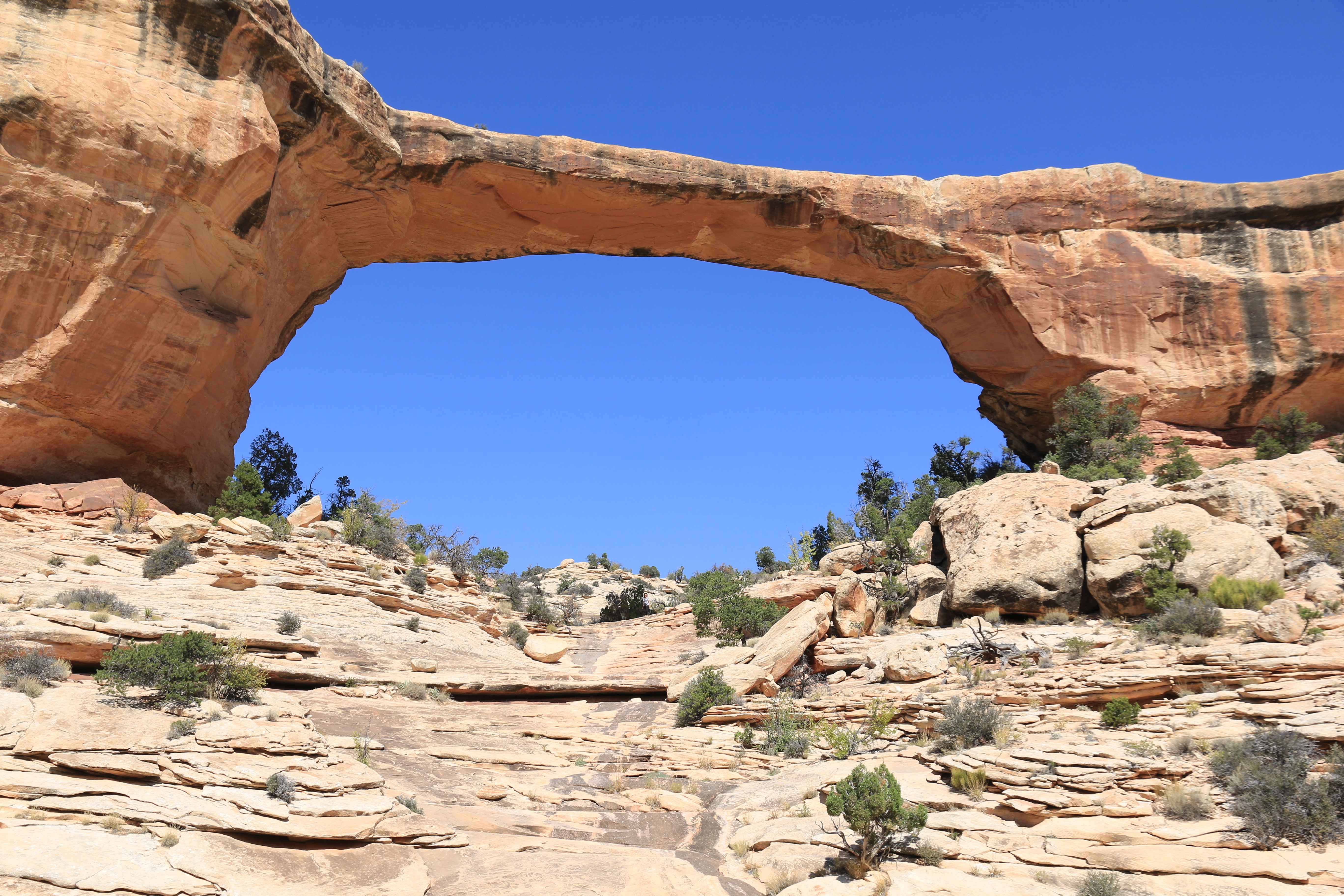 Natural Bridges NM